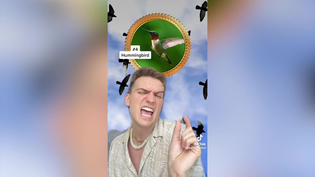 TikToker rates 'top five hottest birds' and it makes more sense than it should