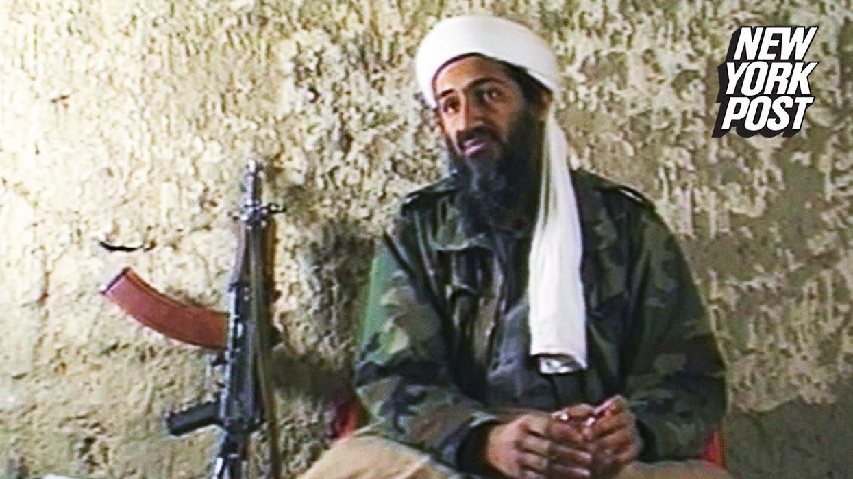 TikToker who shared Bin Laden video 'didn't know about Palestine' before Hamas attack