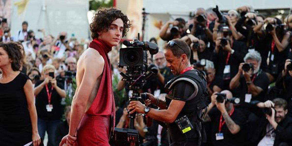 Timothée Chalamet stuns in backless halter at Venice Film Festival
