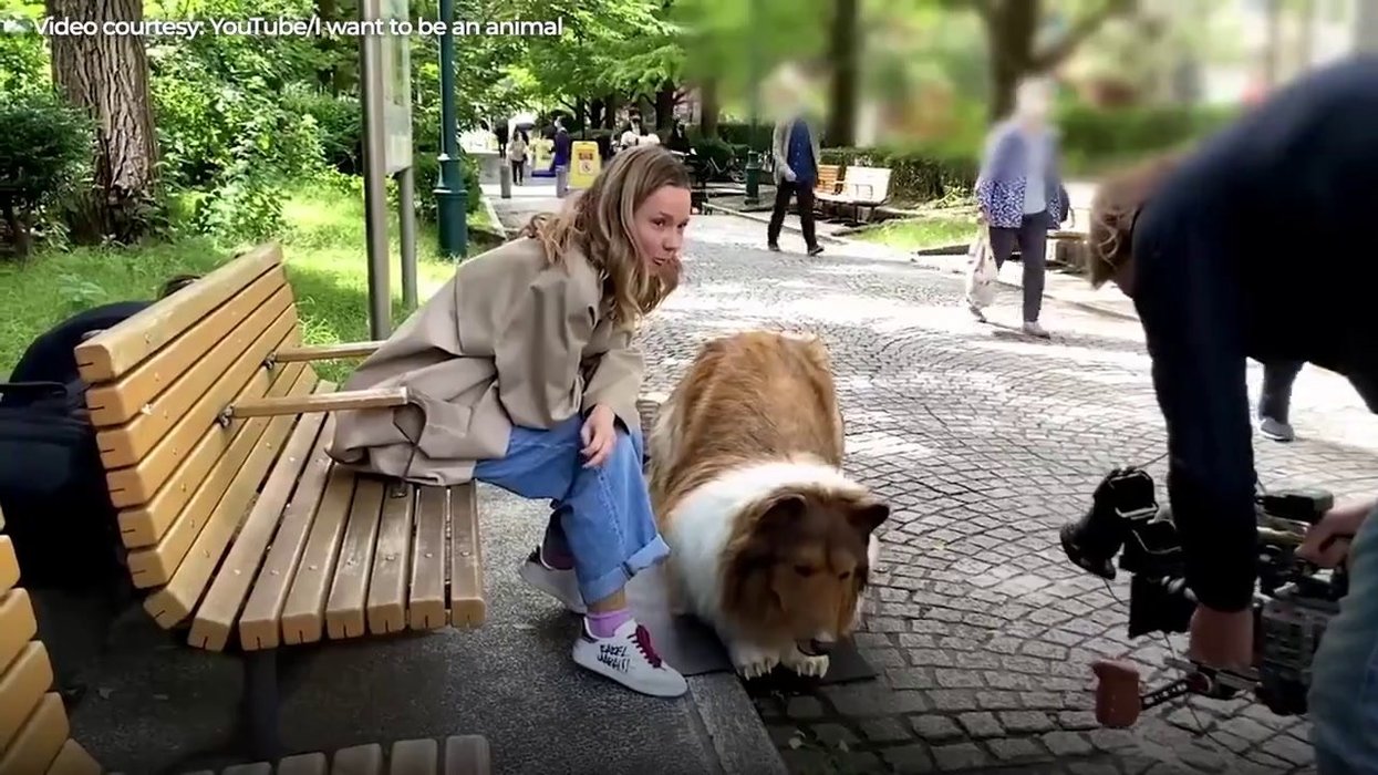 Toco Collie Man who transformed into a dog announces drastic life change | indy100