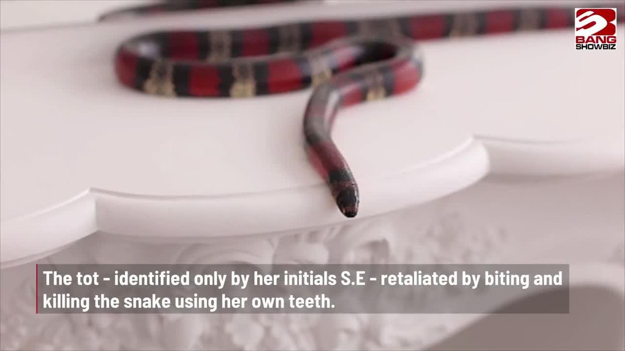 Man’s penis rots after being bitten by snake while sitting on toilet