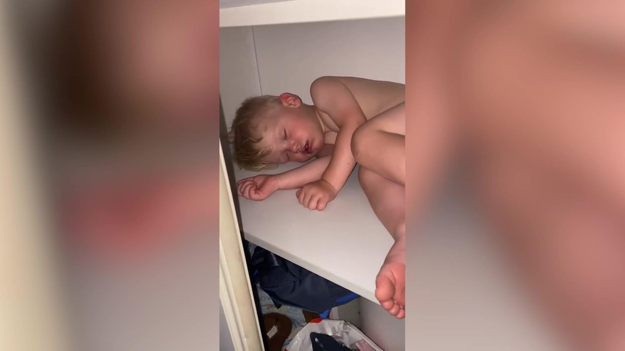 Toddler will sleep anywhere but cot - including shelves and cupboards