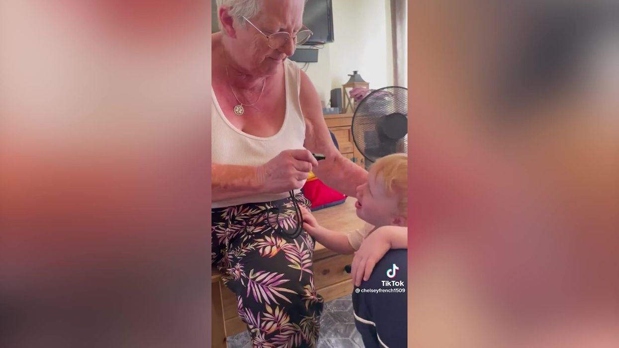 Toddler has hilarious yet completely wrong idea of how a whistle works