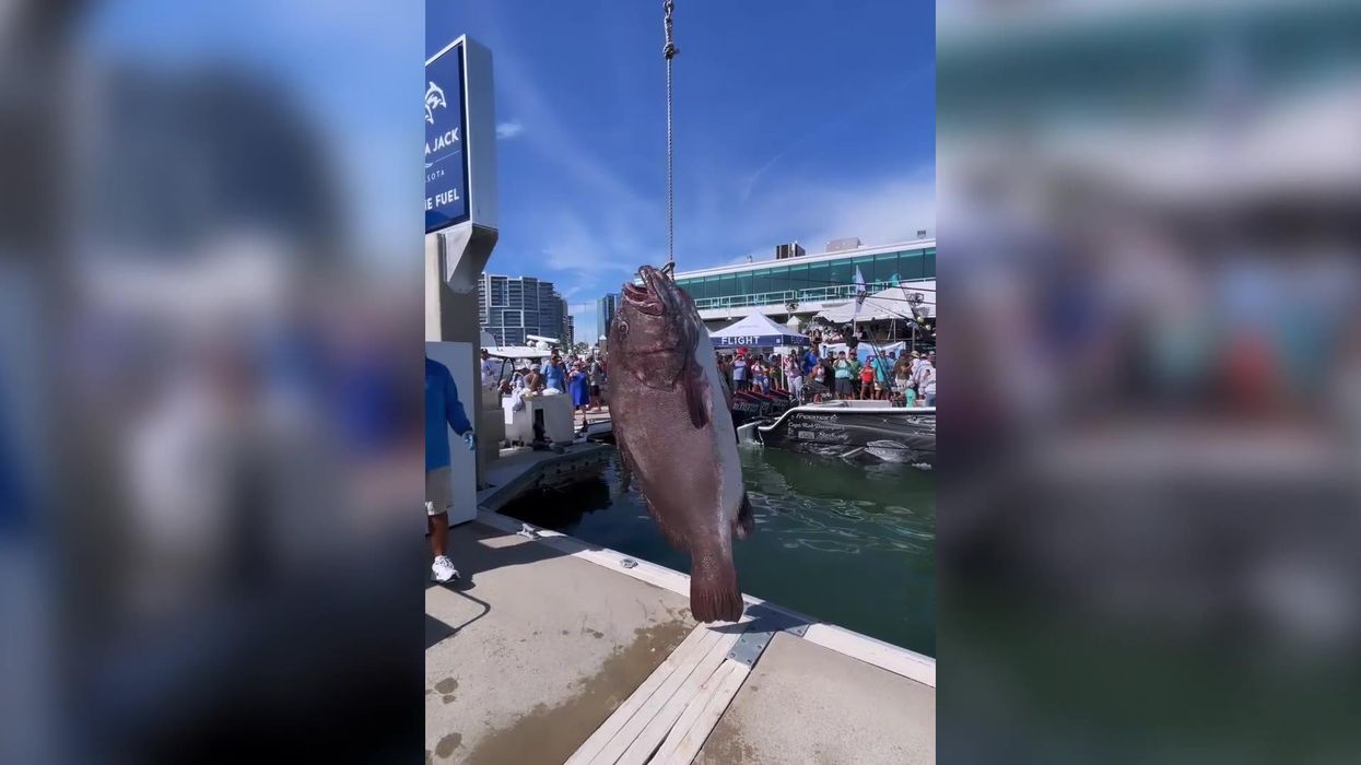 Tom Cruise and Nicole Kidman's son wins fishing competition after reeling in gigantic fish