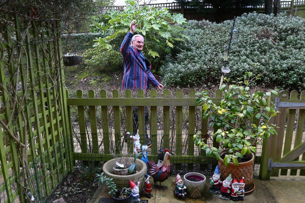 Tom Jones, 103, walks laps of the garden at his care home in Bexleyheath, Kent
