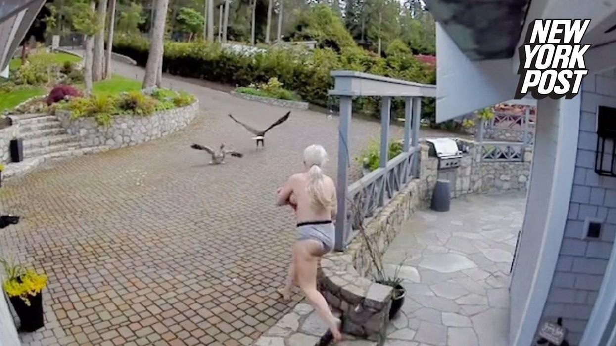 Half-naked, breastfeeding mom saves her pet goose from an eagle attack