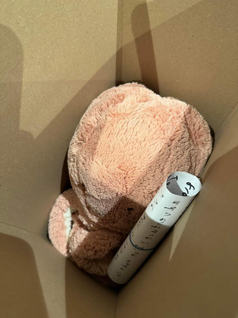 Toy in box with note