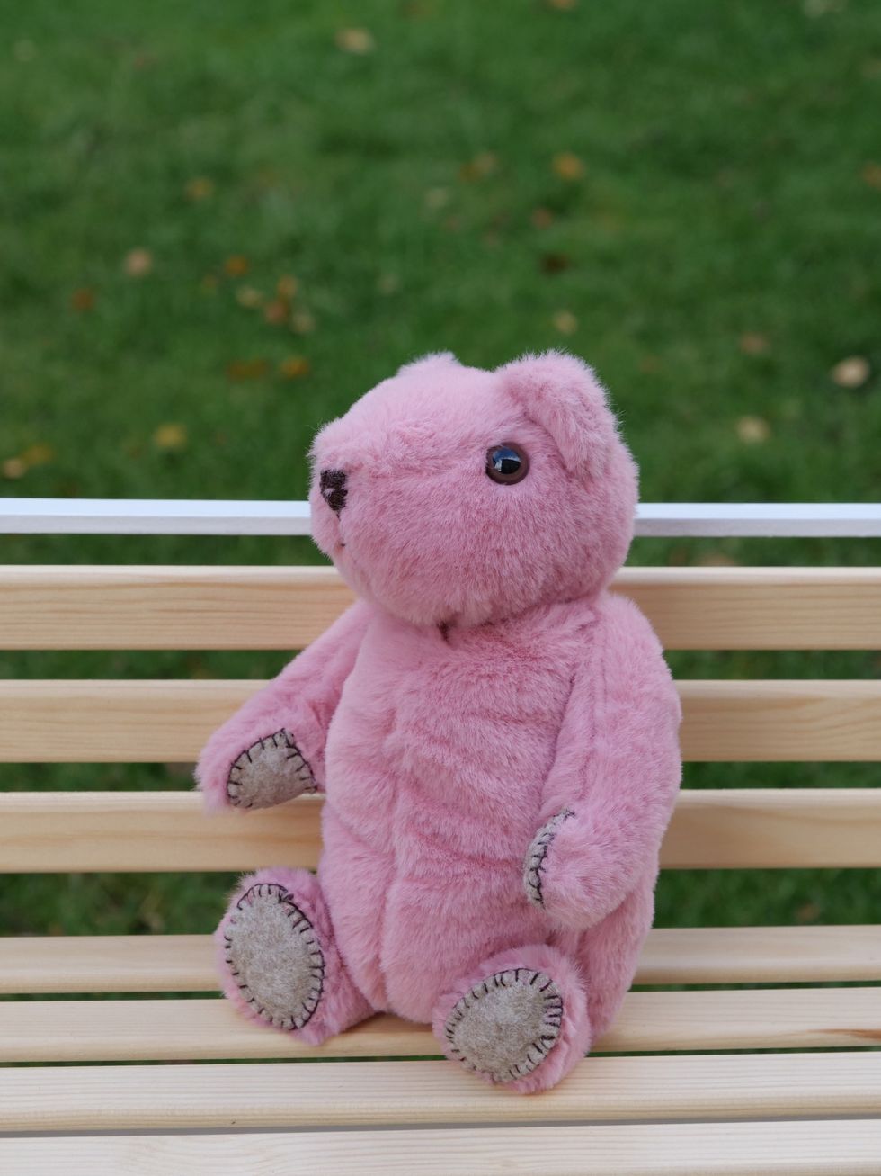 Toy on bench