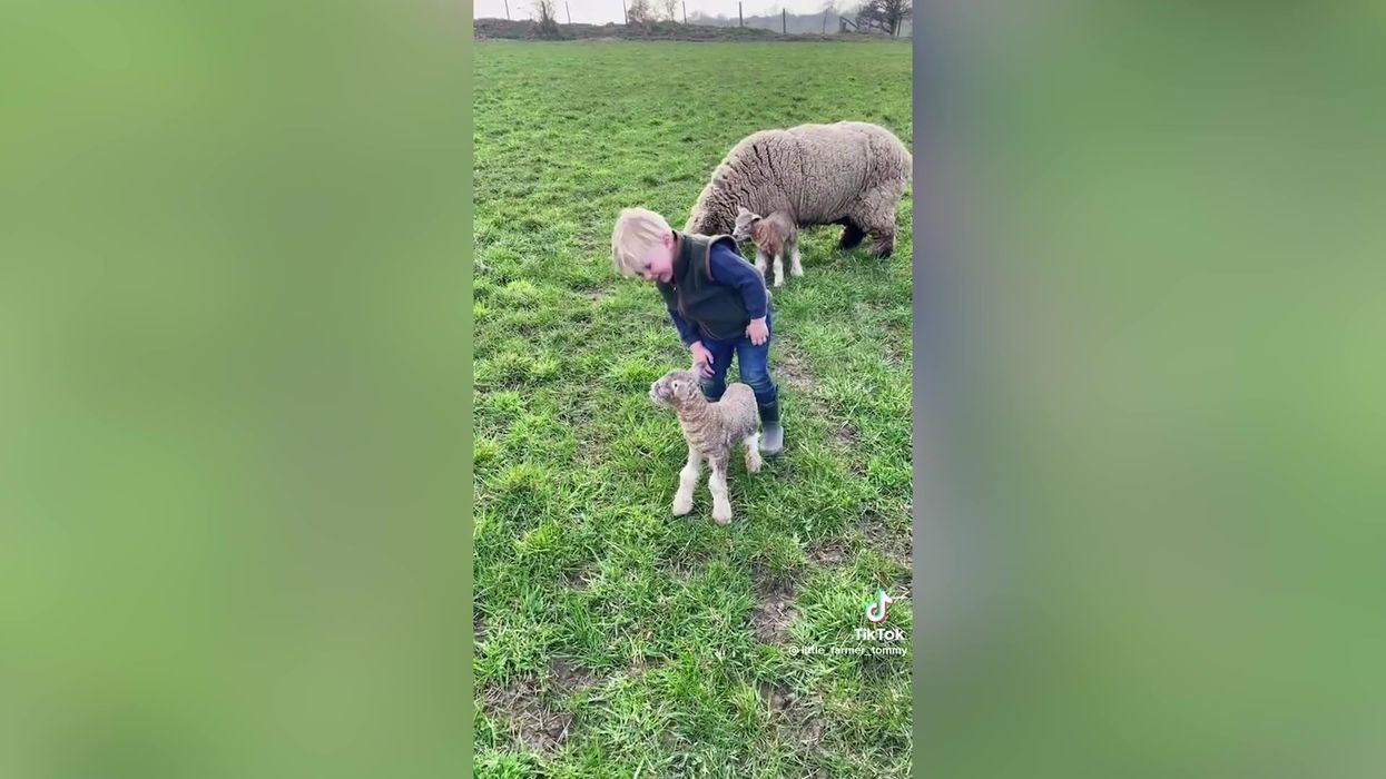 ‘Tractor obsessed’ three-year-old goes viral for his amazing farming skills
