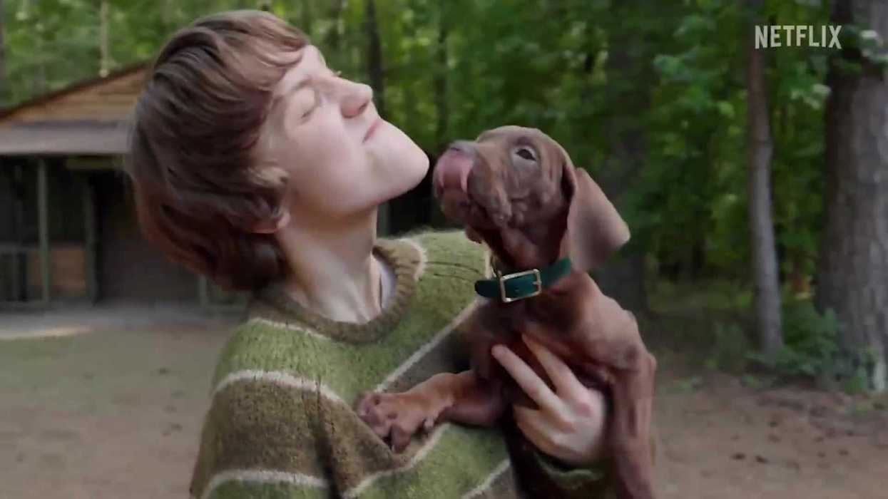 Netflix shares first look at Scooby-Doo live-action pup – and fans are all saying the same thing