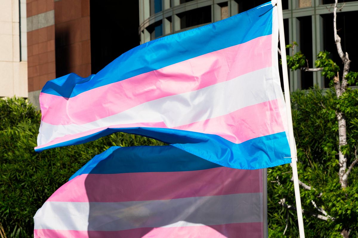 Trans pride flags flutter in the wind at a gathering to celebrate the International Transgender Day of Visibility, March 31, 2017.