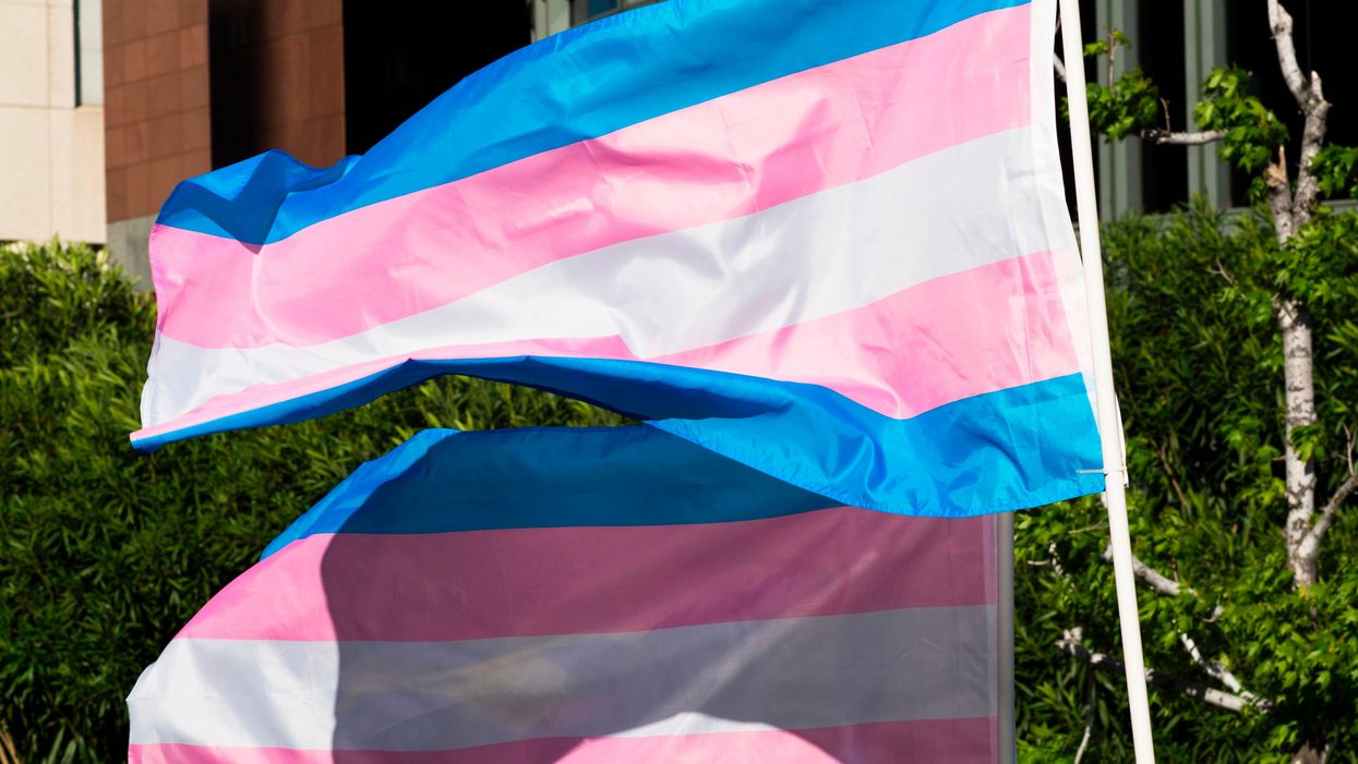 Trans pride flags flutter in the wind at a gathering to celebrate the International Transgender Day of Visibility, March 31, 2017.