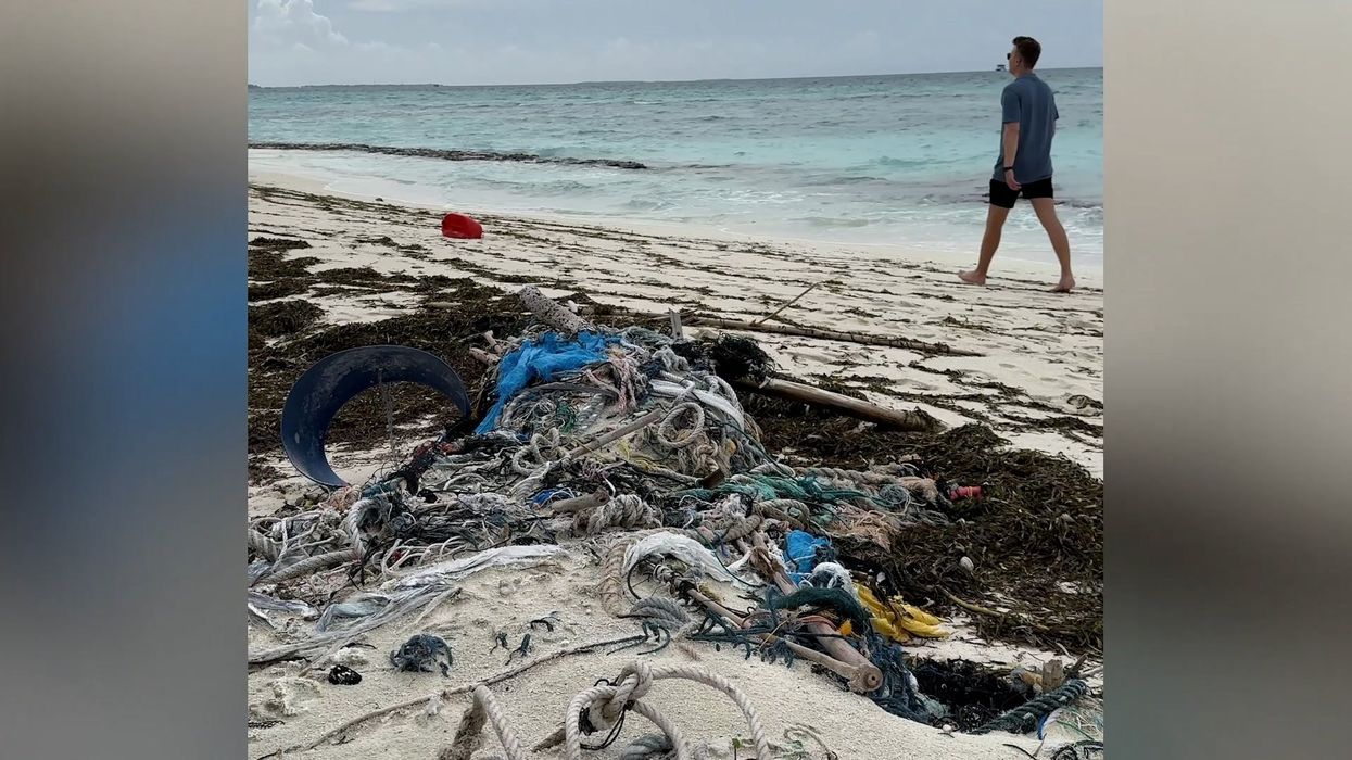 Travel bloggers spend £9,400 on Maldives trip that looks 'nothing like photos'