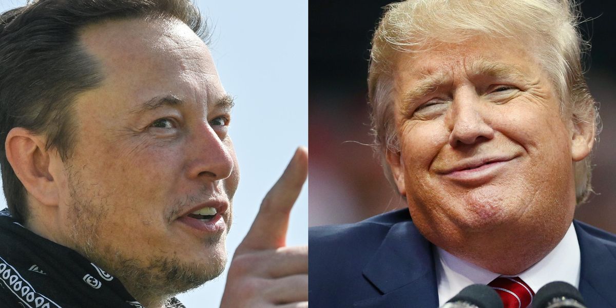 Speculation grows that Elon Musk will reinstate Trump following Twitter  purchase | indy100