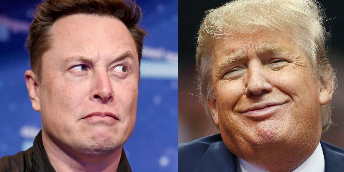 Elon Musk posts Joe Rogan video endorsing Trump | indy100