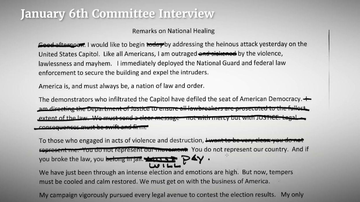 'MAGA rioter' will use 'idiot defense' at upcoming trial, says expert