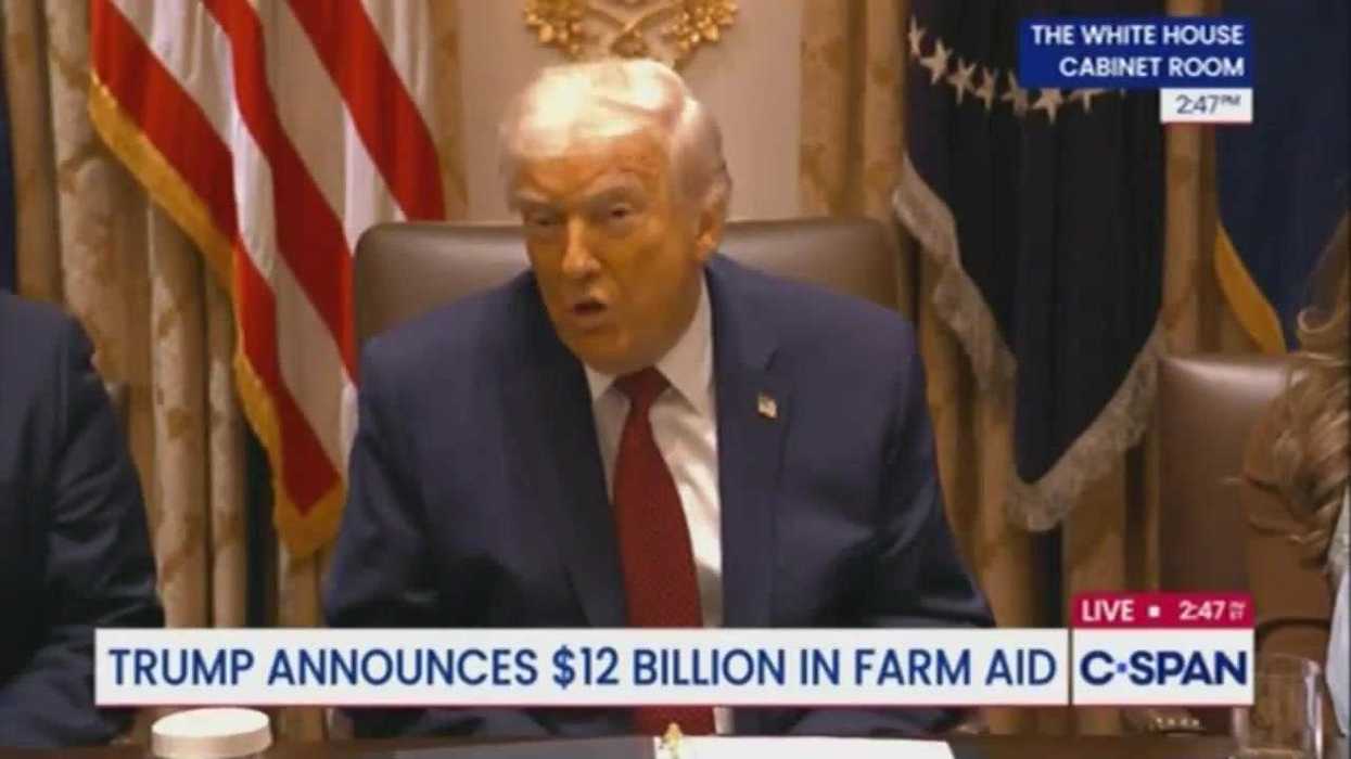 Donald Trump went on a bizarre rant about lawnmowers being hard to start – yes, really