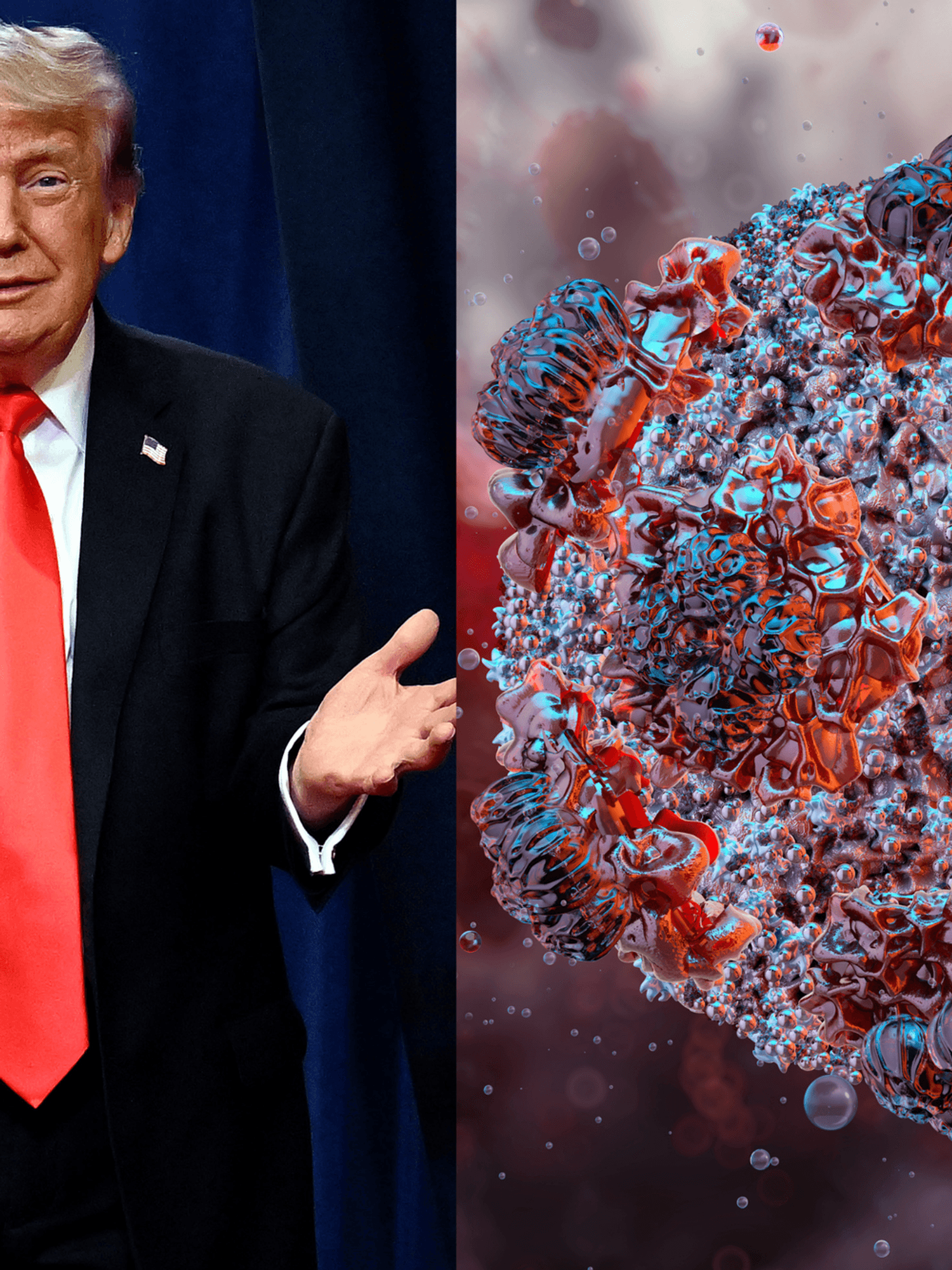 Trump shares how concerned Americans should be about Hantavirus - everyone is having flashbacks