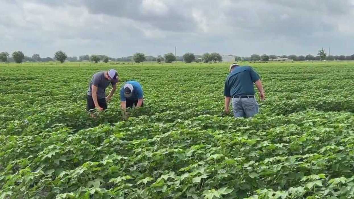 Businesses start claiming refunds for illegal Donald Trump tariffs