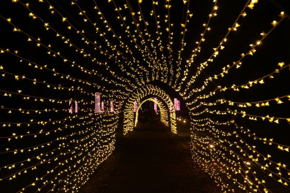 Tunnels of fairy lights at during Luminate Sandringham