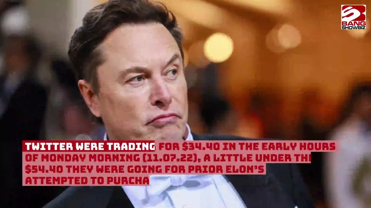 Elon Musk says 'lmaoo' after Trump claims he could have made billionaire 'beg on his knees'