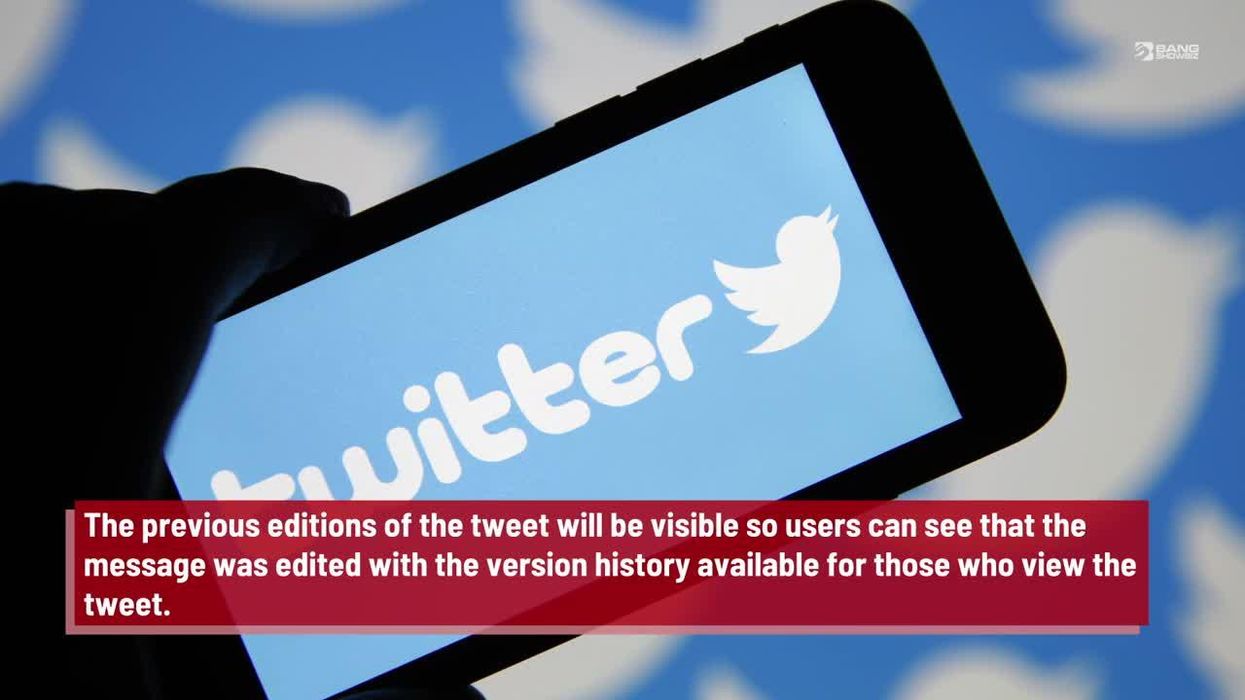 Why are blue tick Twitter brands describing themselves with one word?