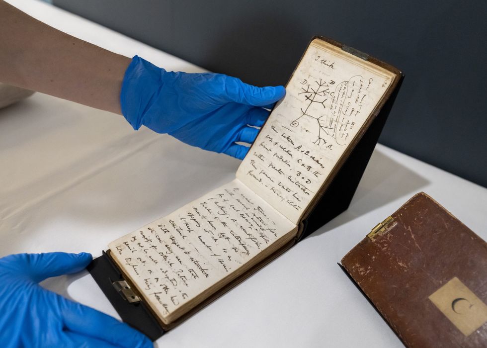 Charles Darwin notebooks that went missing for 20 years are to go on display