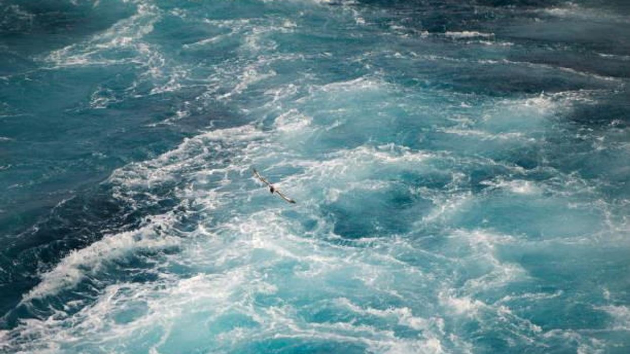 Man claims he had the 'best sex of his life' while lost at sea for more than a year