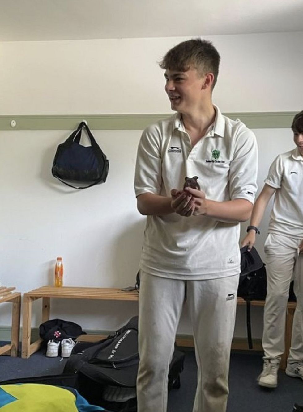 Young cricketer finds furry stowaway before match