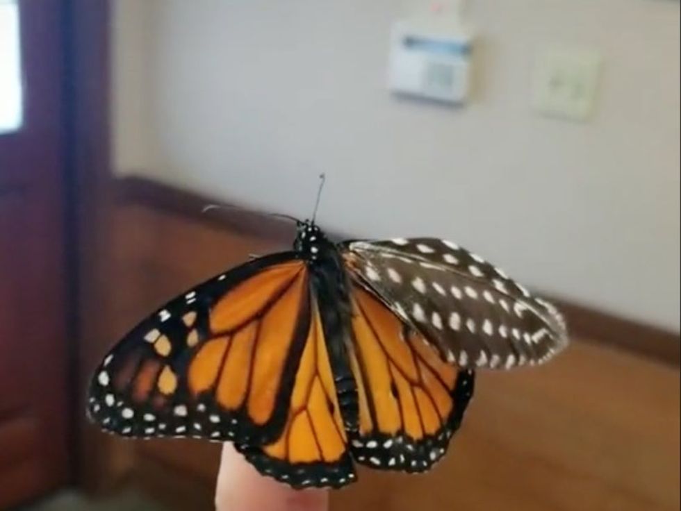 <p>\u201cThe way you didn\u2019t give up on him. He lost a wing yet you still fixed it\u201d </p>