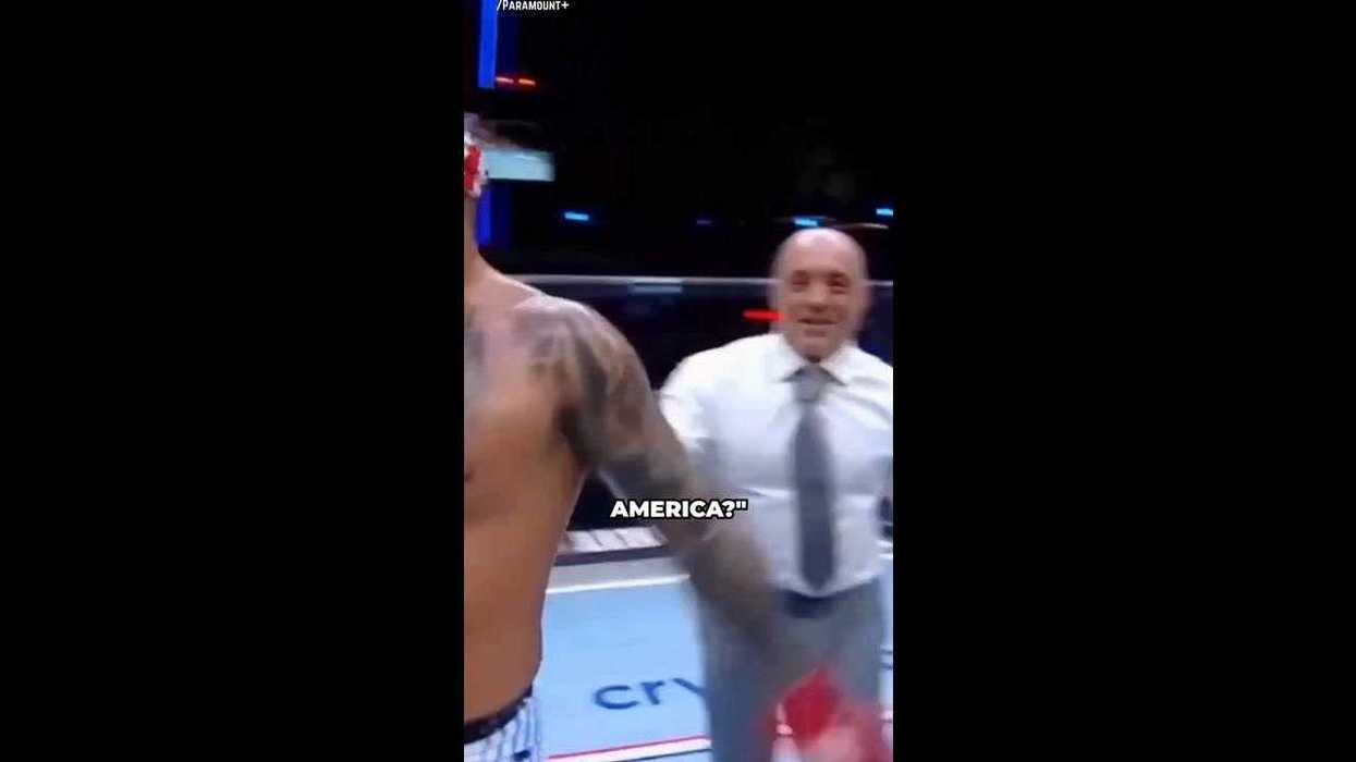 'Never again': Dana White shares honest thoughts on UFC's White House return