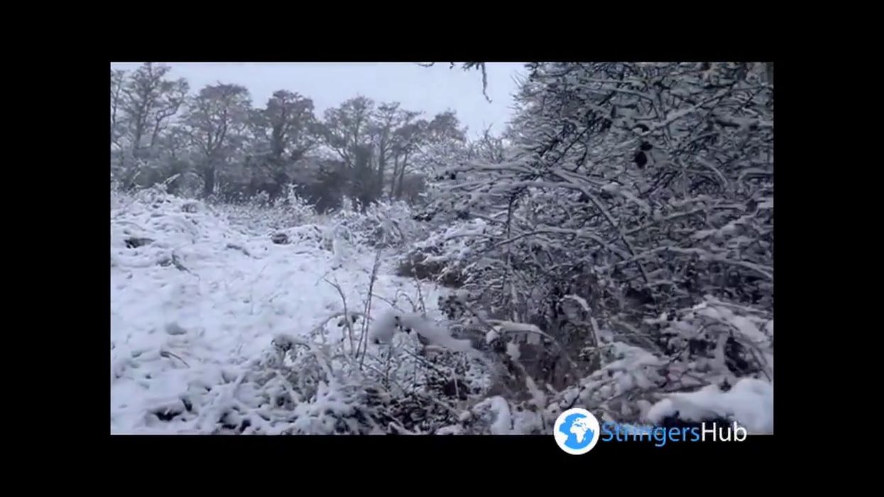 12 of the funniest memes about the UK's March snowstorm