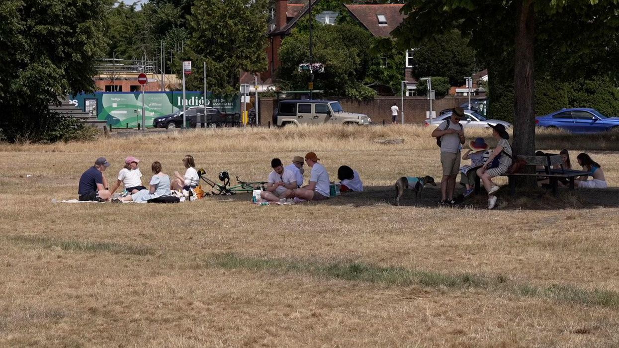 Cinema chain offers free tickets to redheads to ‘shelter’ them from next week’s heatwave