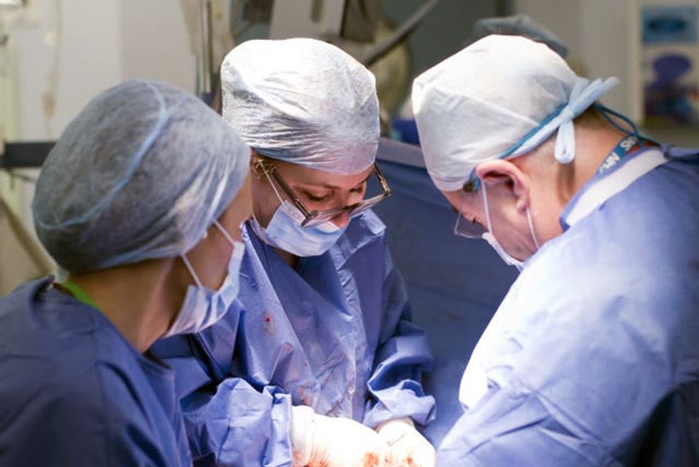 UK\u2019s first womb transplant