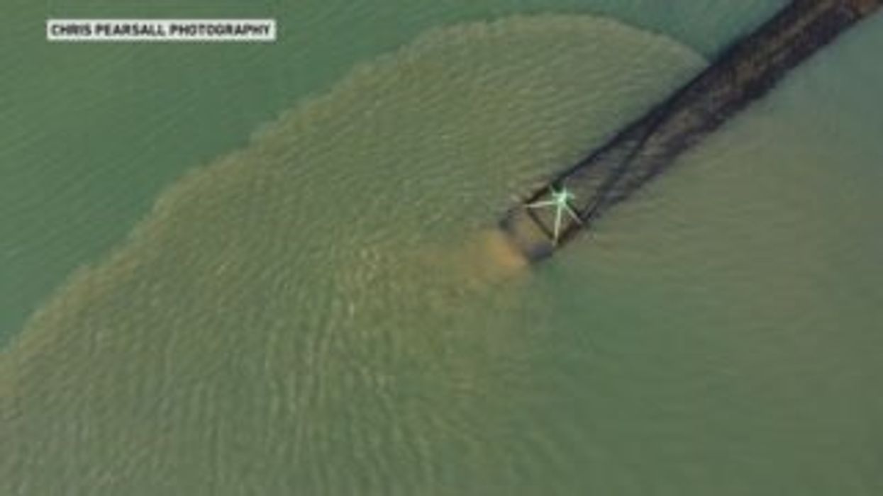 Tory MP suggests people holiday in UK to avoid Dover queues - and gets dunked on