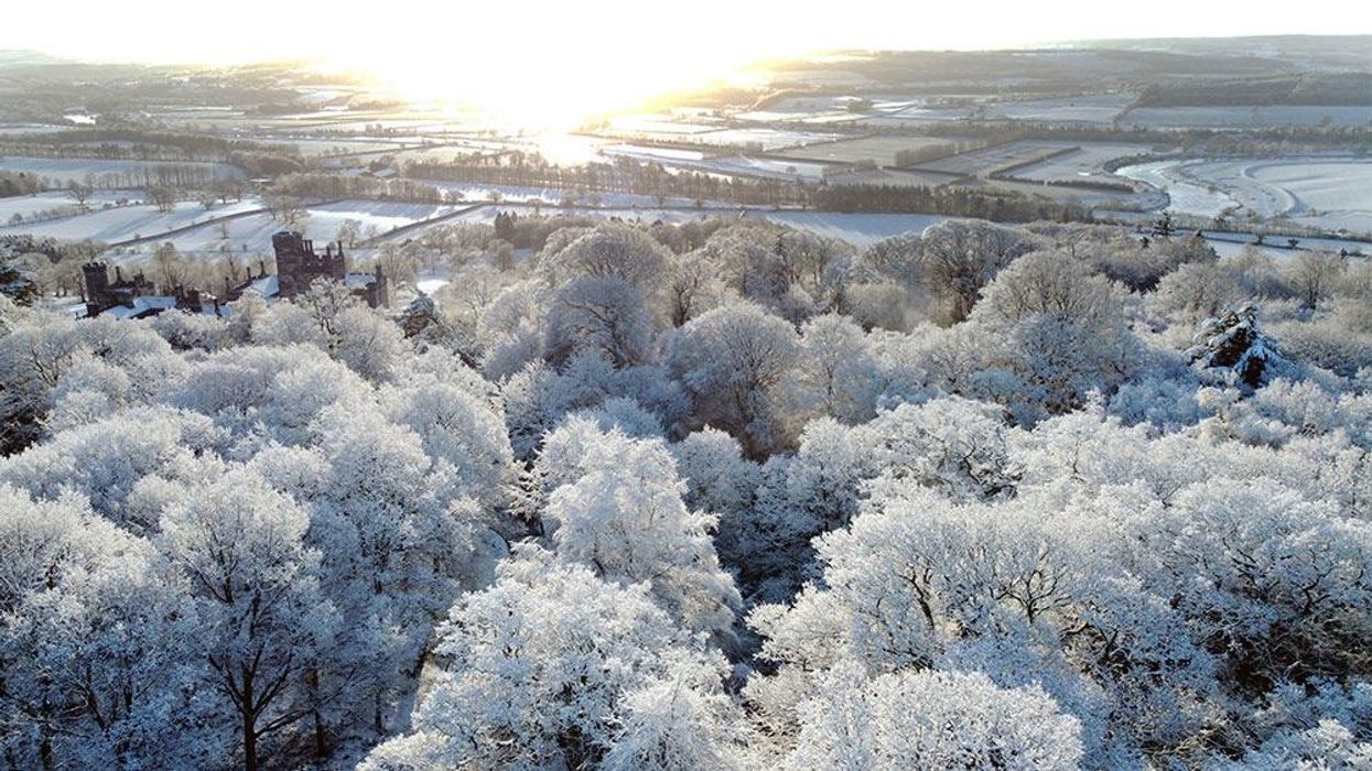 Expert warns to watch out for 'flying wheelie bins' as 50 mph winds batter UK