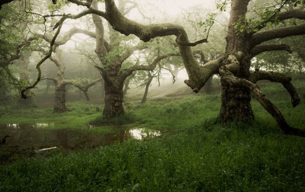 Undated handout photo issued by the South Downs National Park Authority of a \u2018Three Giants\u2019 by Richard Murray, winner in the main category in the South Downs National Park photo competition