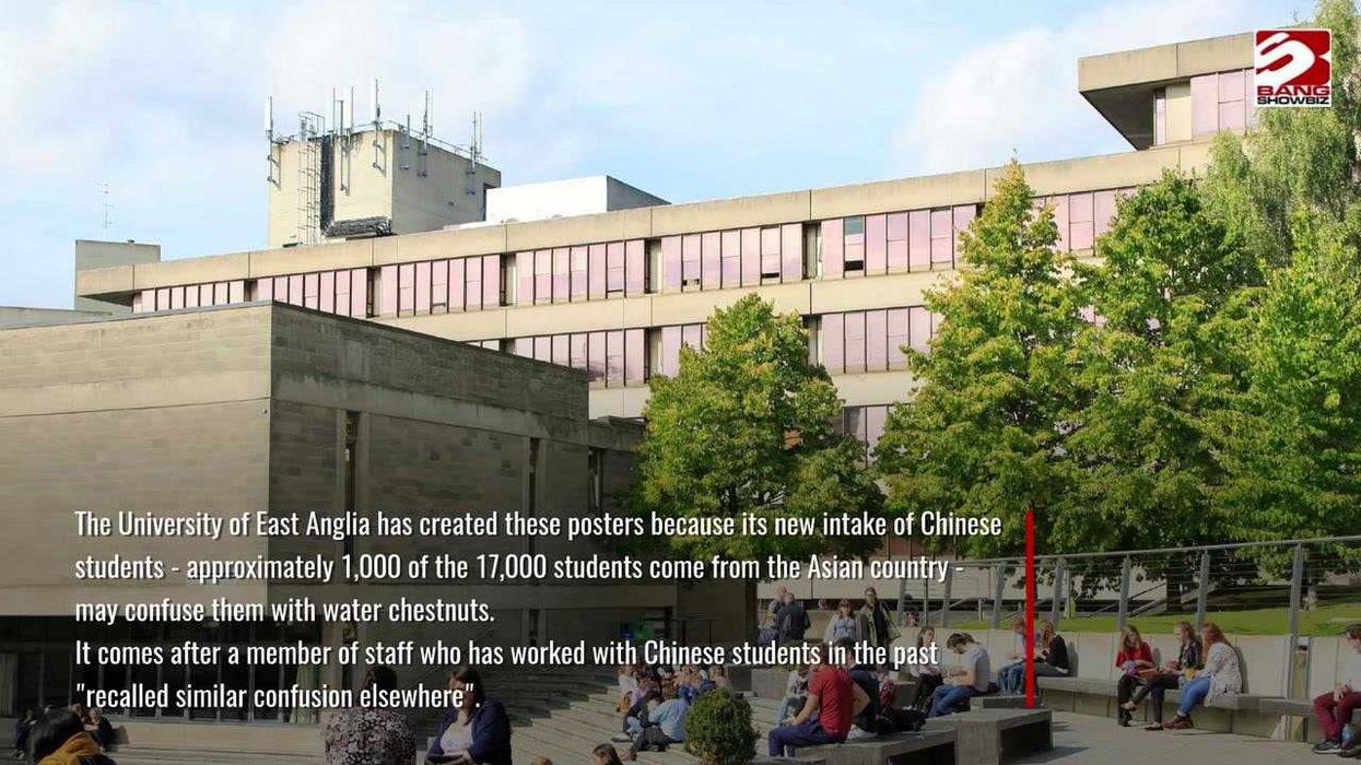 Conkers dubbed 'nature’s Labubus' in Autumnal 'blind box' TikTok trend