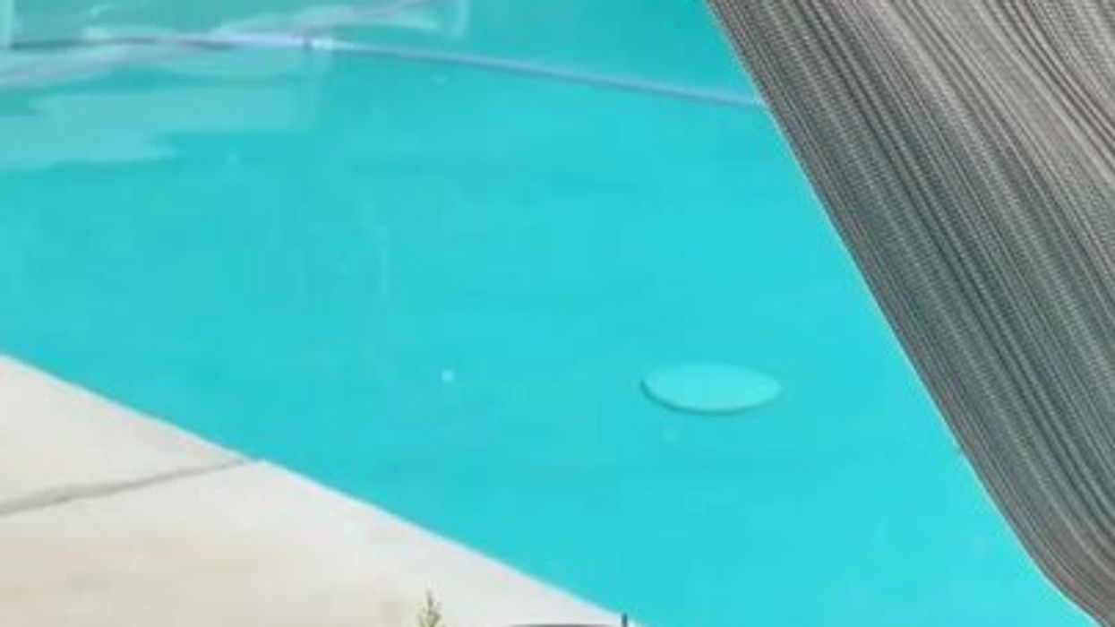 California Earthquake rocks Coachella - and the influencer crowd reacted