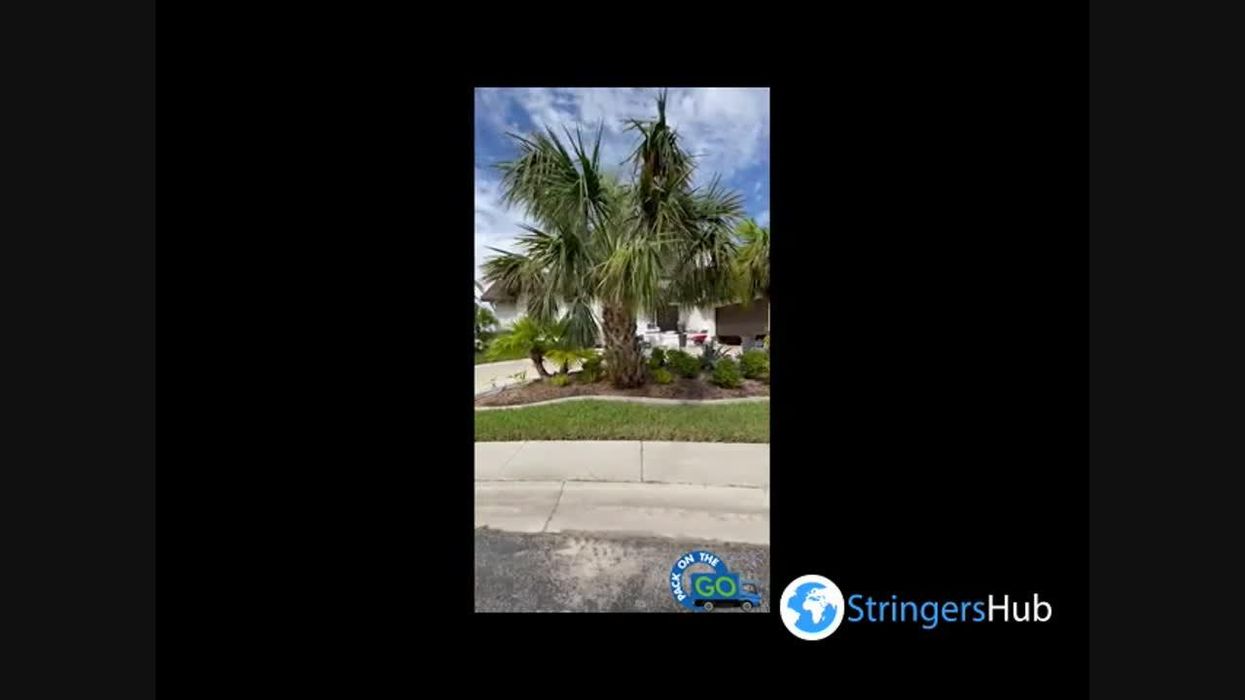 Terrifying side-effect of Hurricane Ian is sudden surge in flesh-eating bugs