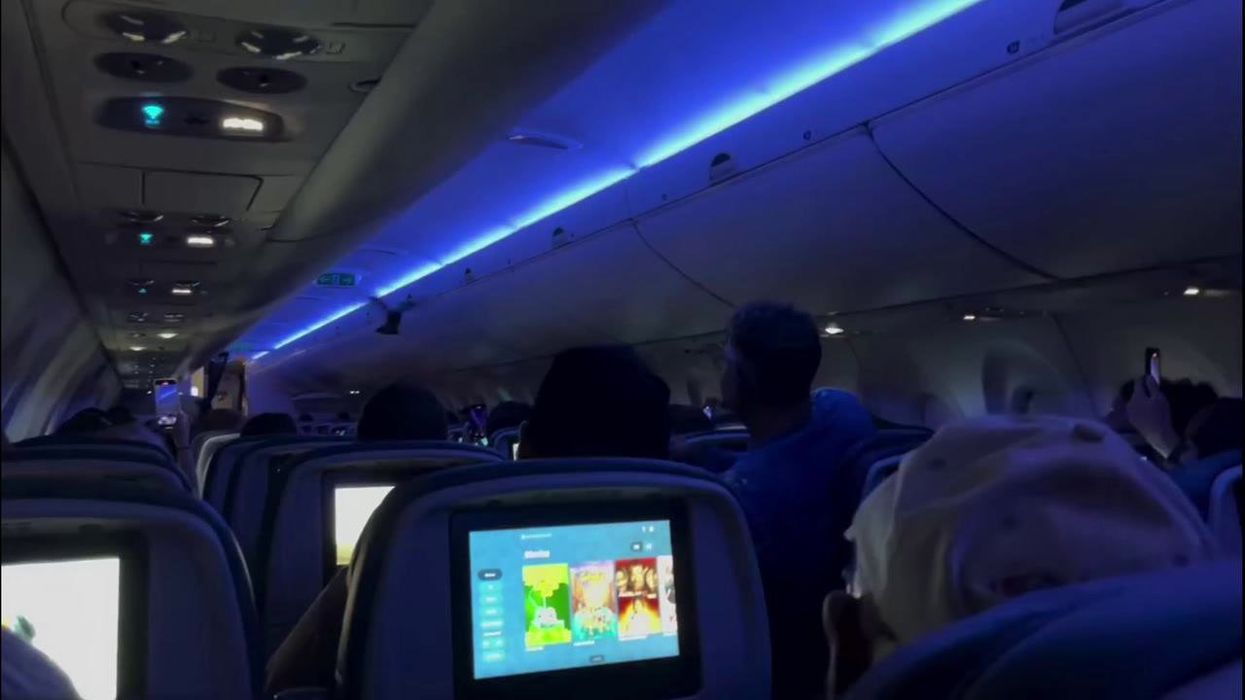 Catch the pigeon! Birds cause chaos on delayed Minneapolis flight