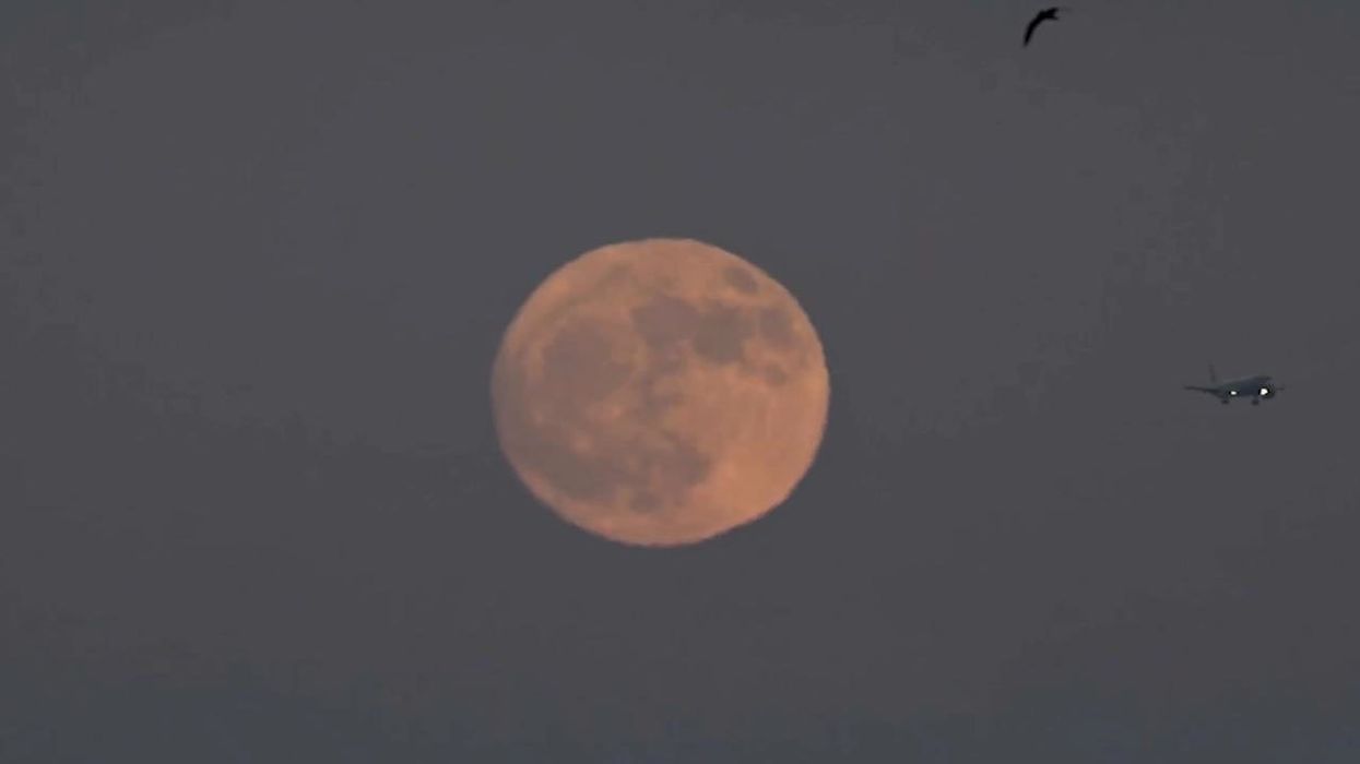 What is a Buck Moon? Everything you need to know about the first full moon of summer