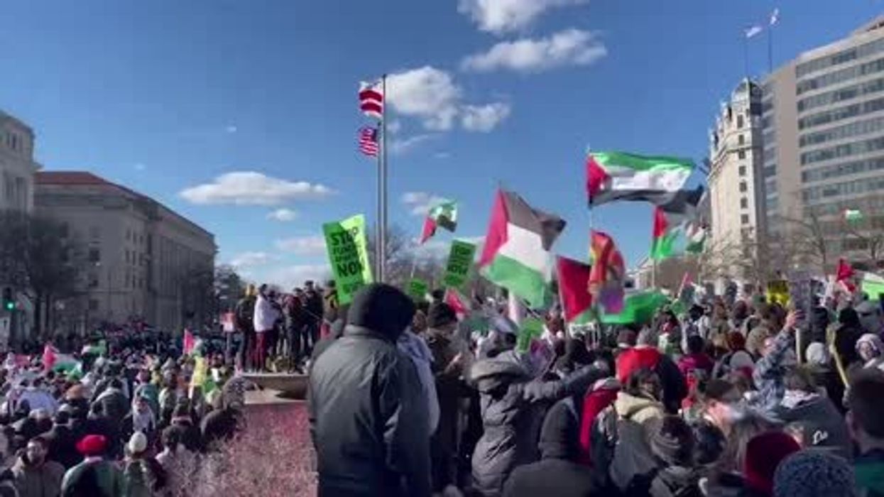 Jewish sperm donor 'dumped' by Lesbian couple over Gaza war