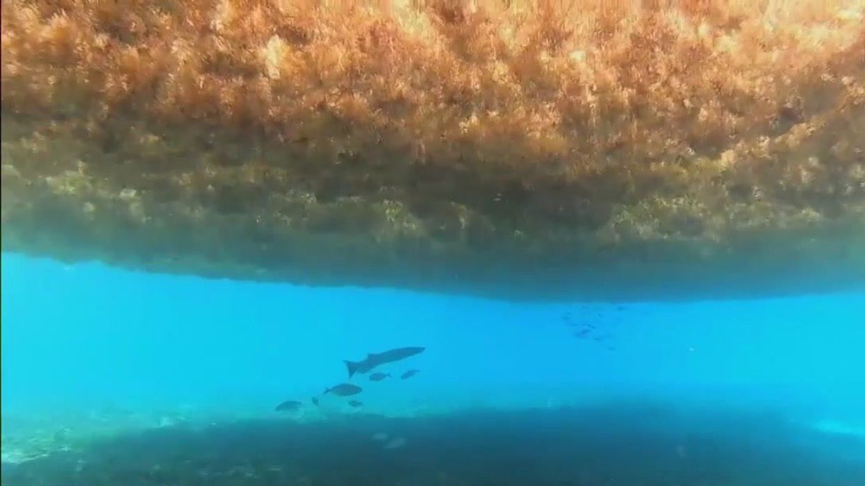 There is one sea on Earth that doesn't touch any land at all