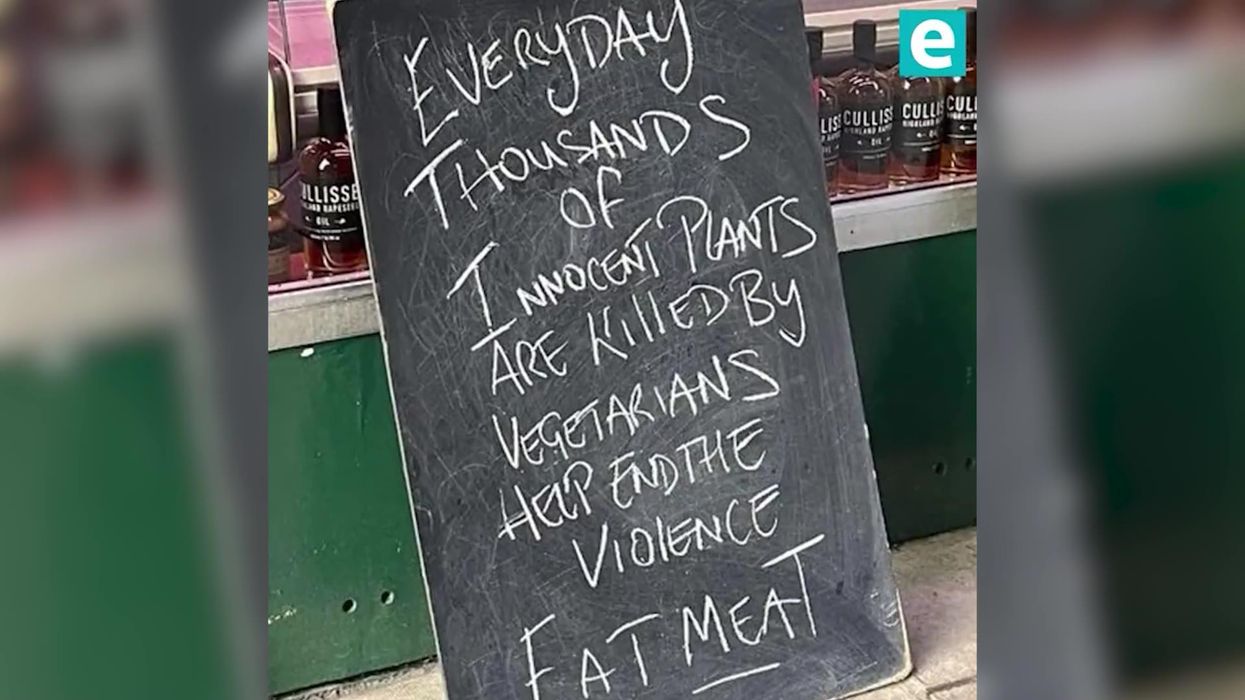 Vegan activists pour milk out onto floor in Harrods before being grabbed by security