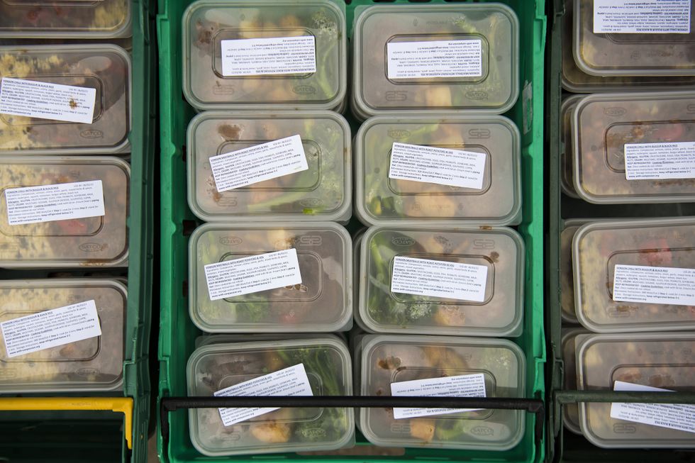 Venison from wild deer