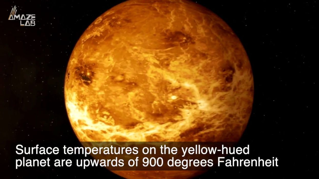 New discovery on Venus points towards signs of life