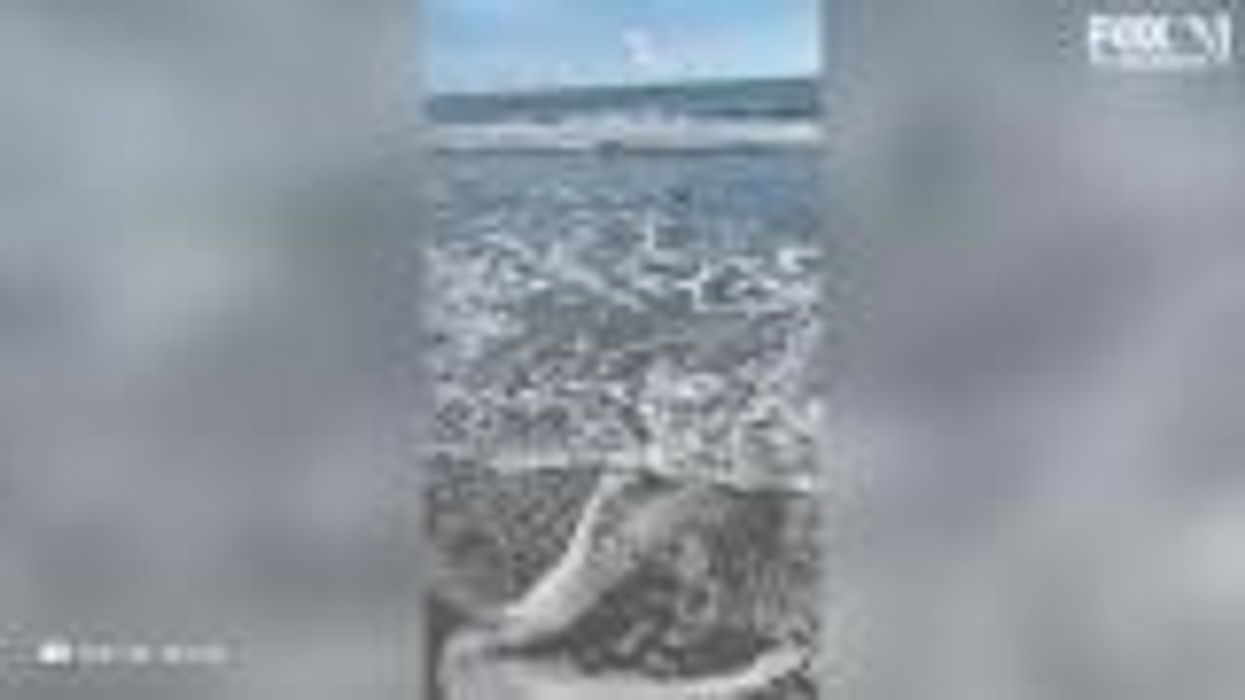 'Don't you touch me': Florida girl saves herself from shark attack by kicking it