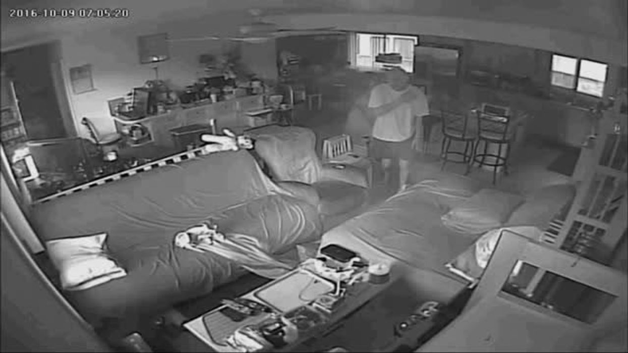 Samsung's Note 7 is banned on planes - and TikTokers are determined to find out why