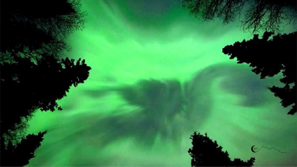 Aurora borealis northern lights forecast: How to spot them in 14 States